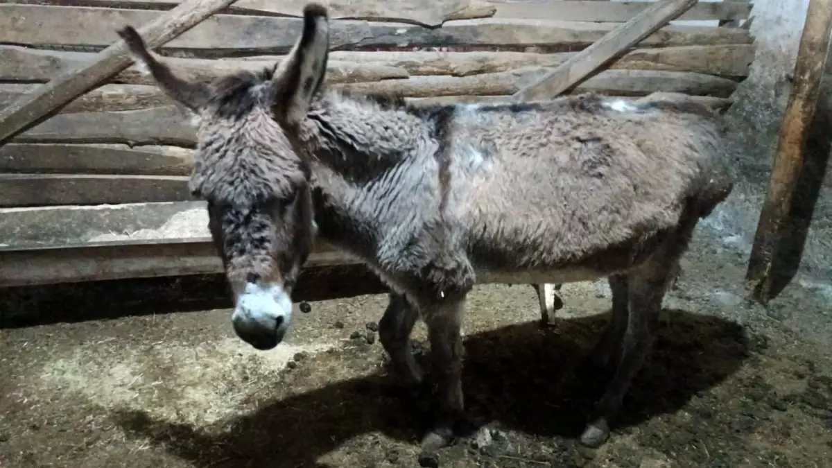 Kırşehirli köylüden vicdanlara dokunan hareket