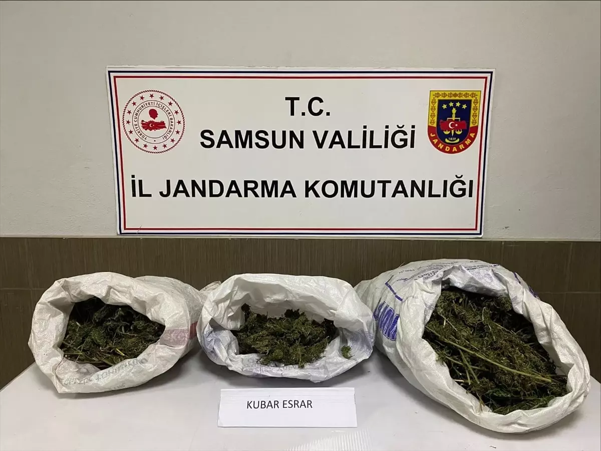 Samsun'da samanın içine gizlenmiş yaklaşık 6 kilogram esrar ele geçirildi