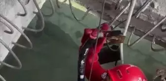 Trabzon'da 7 metrelik çukura düşen köpeği AKUT ekipleri kurtardı