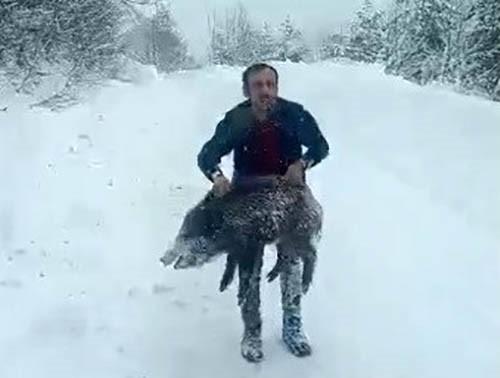 yaban domuzunu ciplak elle yakalayan adam 19433503 401 m