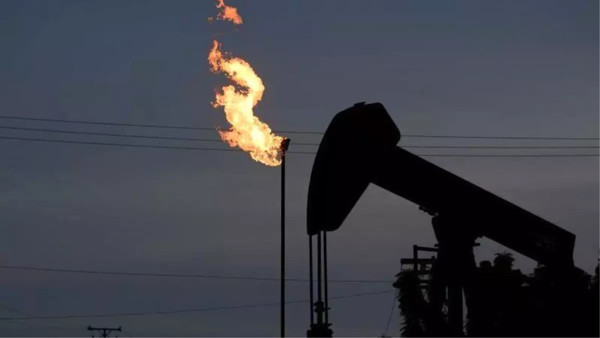 Trump: 'Venezuela'da önümüzdeki 30 gün seçim olmayacak'