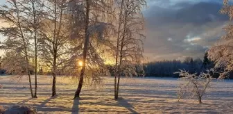 Adıyaman okullar tatil mi, 9 Ocak Cuma Adıyaman'da okul yok mu (ADIYAMAN VALİLİĞİ - KAR TATİLİ)?