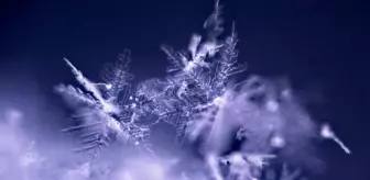 Aksaray okullar tatil mi, 9 Ocak Cuma Aksaray'da okul yok mu (AKSARAY VALİLİĞİ - KAR TATİLİ)?