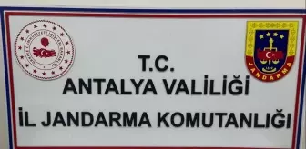 Alanya'da uyuşturucu operasyonunda 1 şüpheli yakalandı