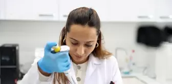 Anadolu'nun kıraç topraklarında verimi artıran 5 çeşit yerli soya tohumu geliştirildi