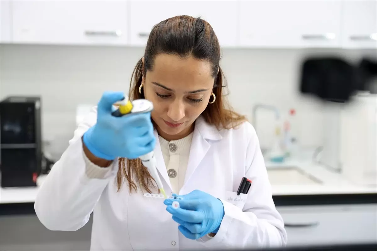 Anadolu'nun kıraç topraklarında verimi artıran 5 çeşit yerli soya tohumu geliştirildi