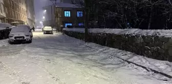 Ardahan ve Kars'ta kar yağışı etkili oldu
