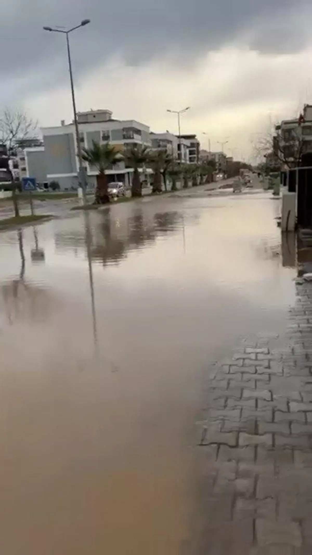 Aydın'da sağanak; yollar göle döndü