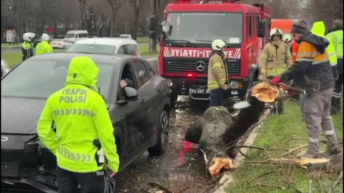 Bakırköy'de rüzgar nedeniyle kopan ağaç dalı otomobilin üzerine düştü; 4 araç birbirine girdi