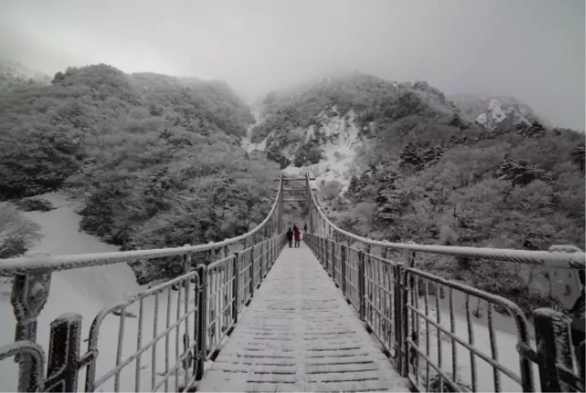 Batman okullar tatil mi, 9 Ocak Cuma Batman'da okul yok mu (BATMAN VALİLİĞİ - KAR TATİLİ)?