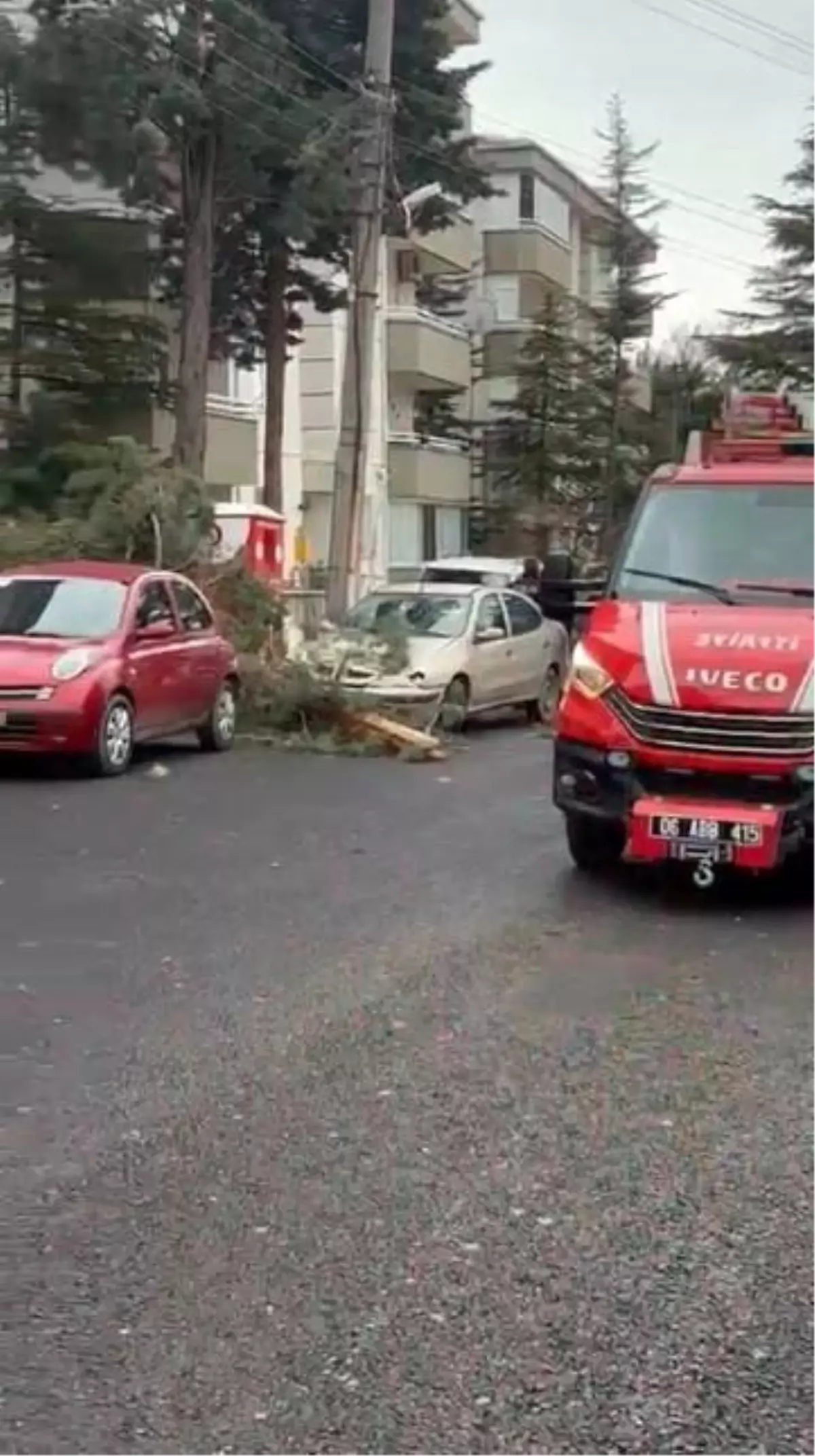 Beypazarı'nda fırtına ağaçları devirdi