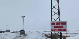 Bitlis'te bir köy kuduz nedeniyle karantinaya alındı
