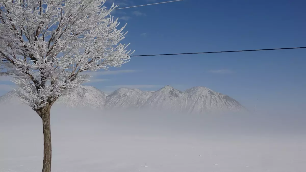 Bitlis'te sis etkili oluyor