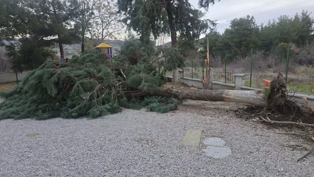 Buldan'da kuvvetli fırtına, baca kapağını uçurdu, ağacı devirdi