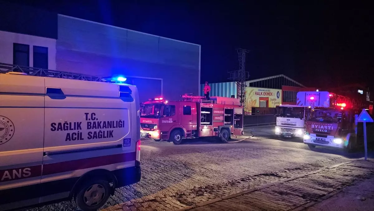 Çorum'da fabrikada çıkan yangın büyümeden söndürüldü