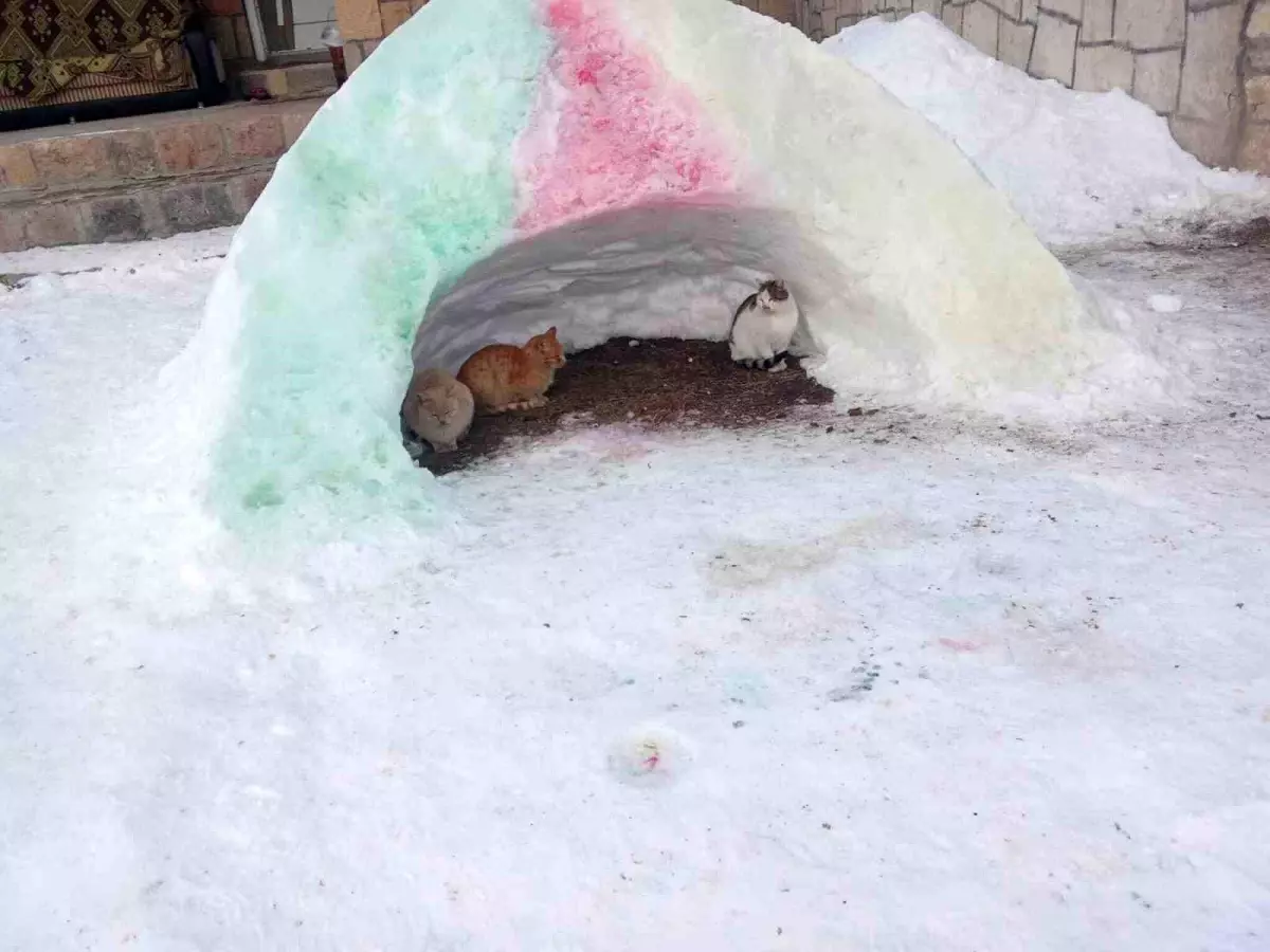 Diyadin'de hayvanlara kardan barınak