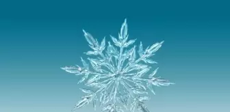 Erzurum okullar tatil mi, 9 Ocak Cuma Erzurum'da okul yok mu (ERZURUM VALİLİĞİ - KAR TATİLİ)?