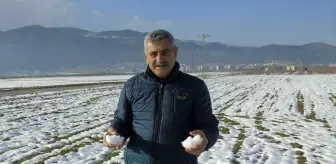 Gaziantep'te kar yağışı çiftçinin yüzünü güldürdü