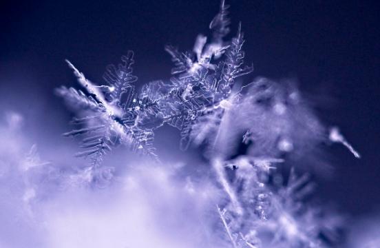 Hakkari okullar tatil mi, 9 Ocak Cuma Hakkari'de okul yok mu (HAKKARİ VALİLİĞİ - KAR TATİLİ)? Hakkari okullar tatil mi, 9 Ocak Cuma Hakkari'de okul yok mu (HAKKARİ VALİLİĞİ - KAR TATİLİ)?