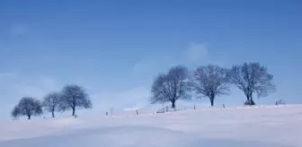 Hatay okullar tatil mi, 9 Ocak Cuma Hatay'da okul yok mu (HATAY VALİLİĞİ)?