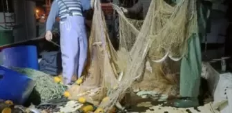 İğneada açıklarında palamut bolluğu yaşanıyor