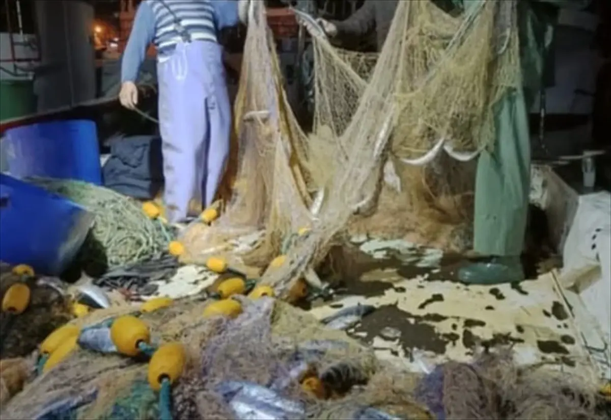 İğneada açıklarında palamut bolluğu yaşanıyor