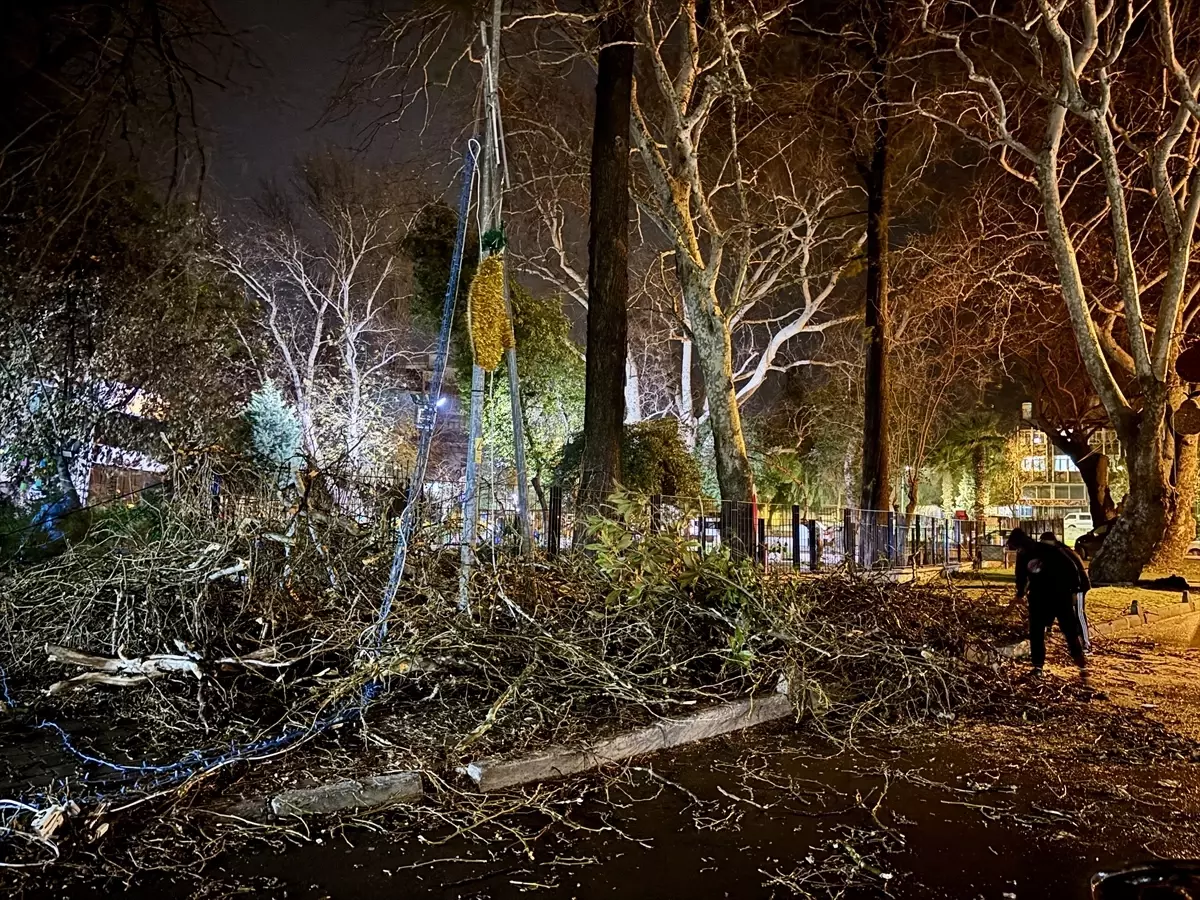 İzmir'de devrilen ağaç park halindeki otomobile ve işletmeye zarar verdi