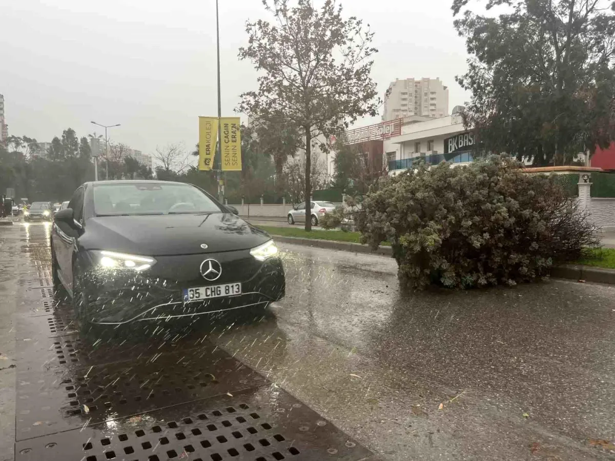 İzmir'de fırtına ağaçları devirdi: 5 araç hasar gördü