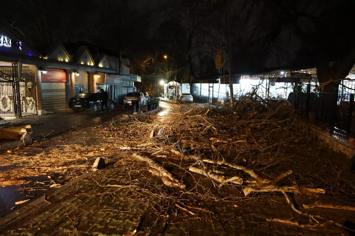 İzmir'de şiddetli rüzgar: Otomobilin üzerine ağaç devrildi