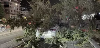 Kayseri'de kuvvetli rüzgarın etkisiyle devrilen ağaç otomobilin üzerine düştü