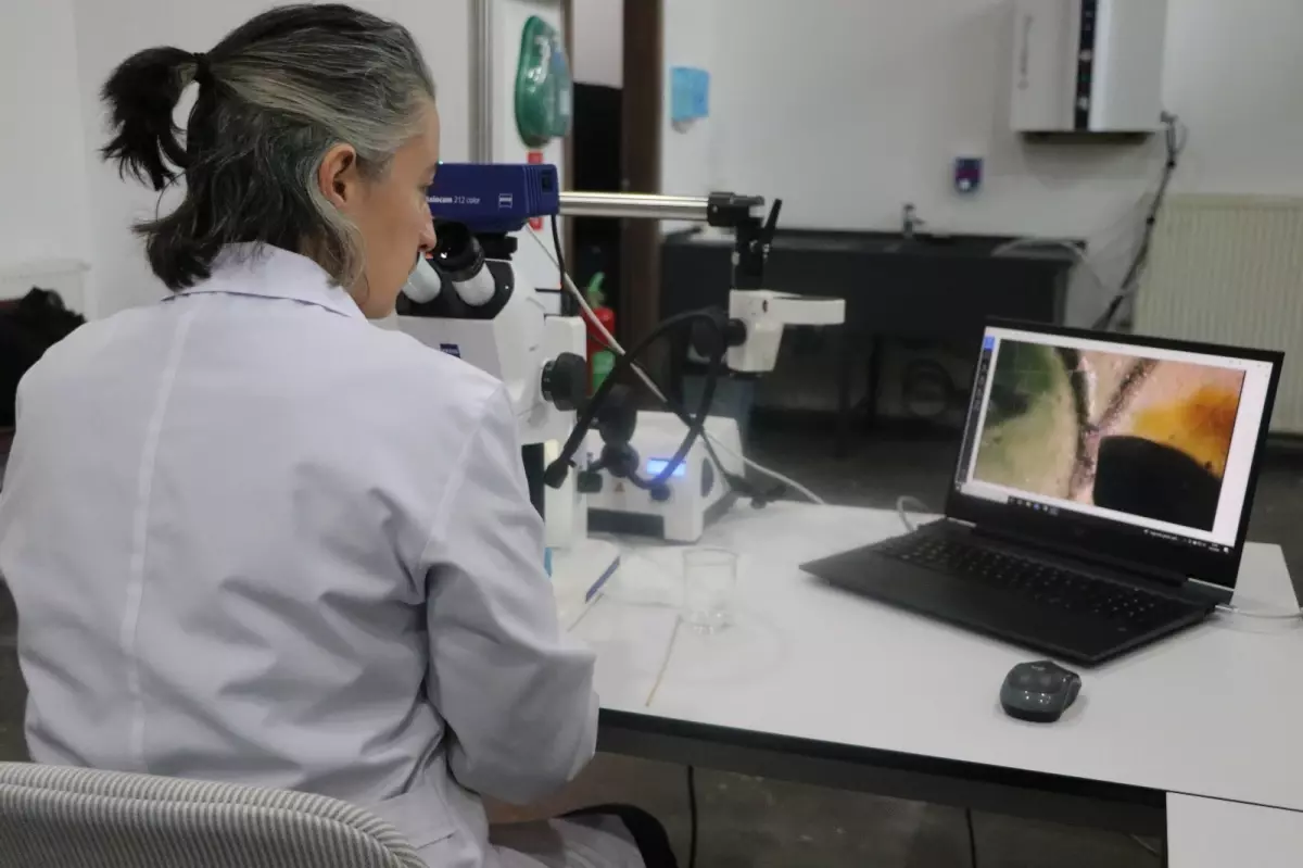 Kayseri'de tarihi eserlerin koruma ve bakımları yapılıyor