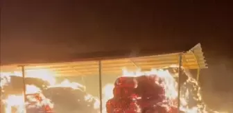 Konya'da çiftlikte çıkan yangında saman balyaları yandı