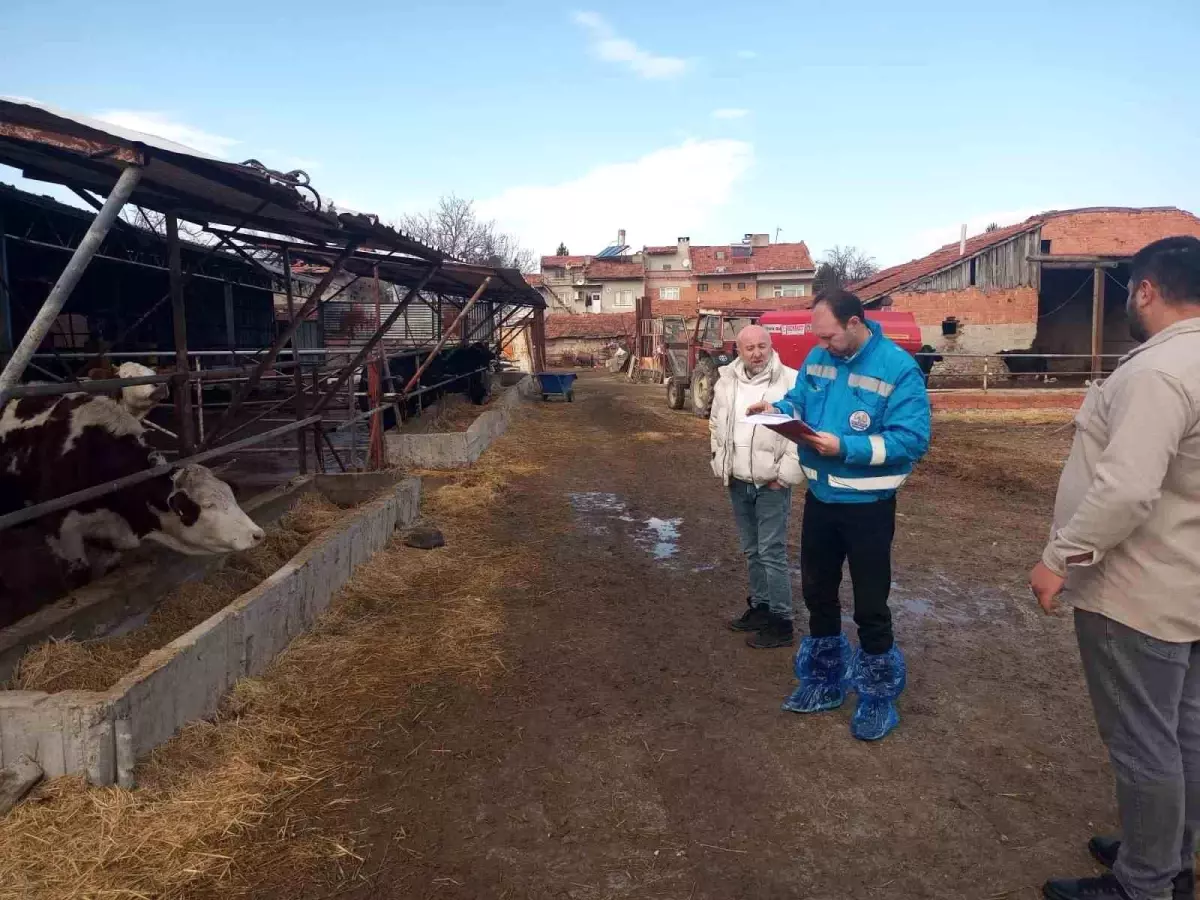 Kütahya'da hayvancılık işletmelerine yönelik kapasite tespiti sürüyor