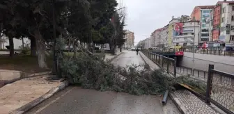 Kütahya'da kuvvetli rüzgar etkili oldu