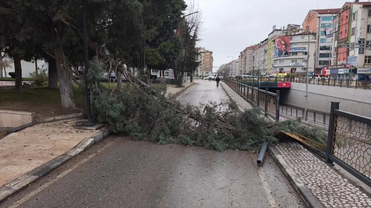 Kütahya'da kuvvetli rüzgar etkili oldu