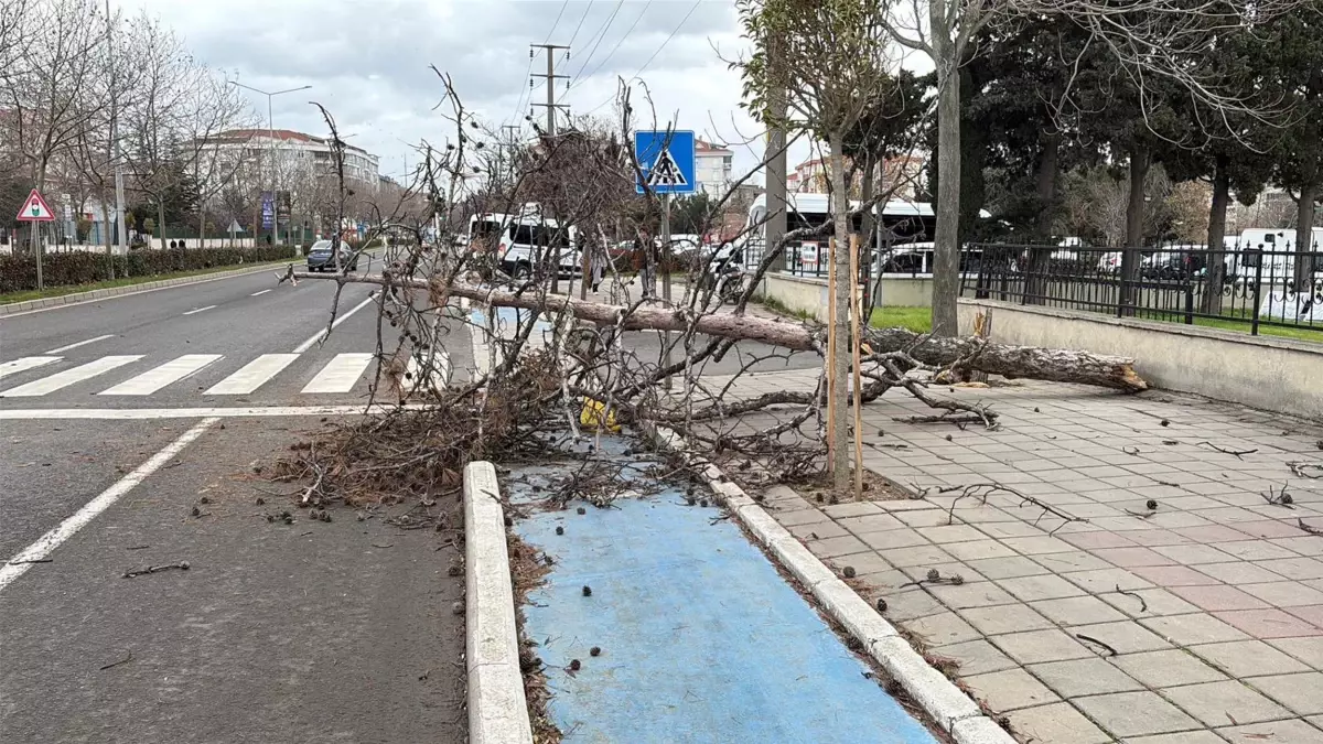 Tekirdağ'da fırtına; eğitim uçuşları iptal edildi, balıkçılar denize açılamadı