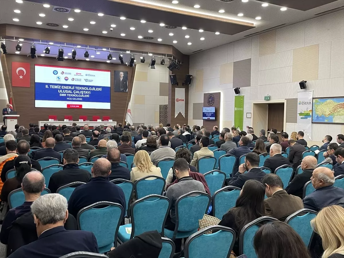 TENMAK Başkanı Karaveli, SMR teknolojisine ilişkin çalışmaların hız kesmeden devam ettiğini bildirdi