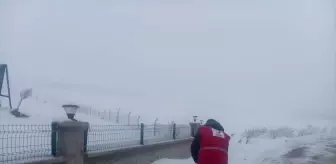 Türk Kızılay ekipleri, Baskil'de sahipsiz hayvanlar için yem ve mama bıraktı