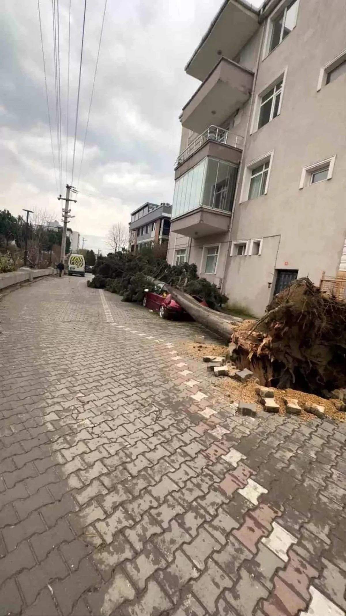 Yalova'da fırtına hayatı olumsuz etkiliyor