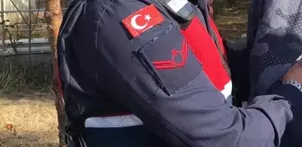 7 şirkete altın kaçakçılığı operasyonu