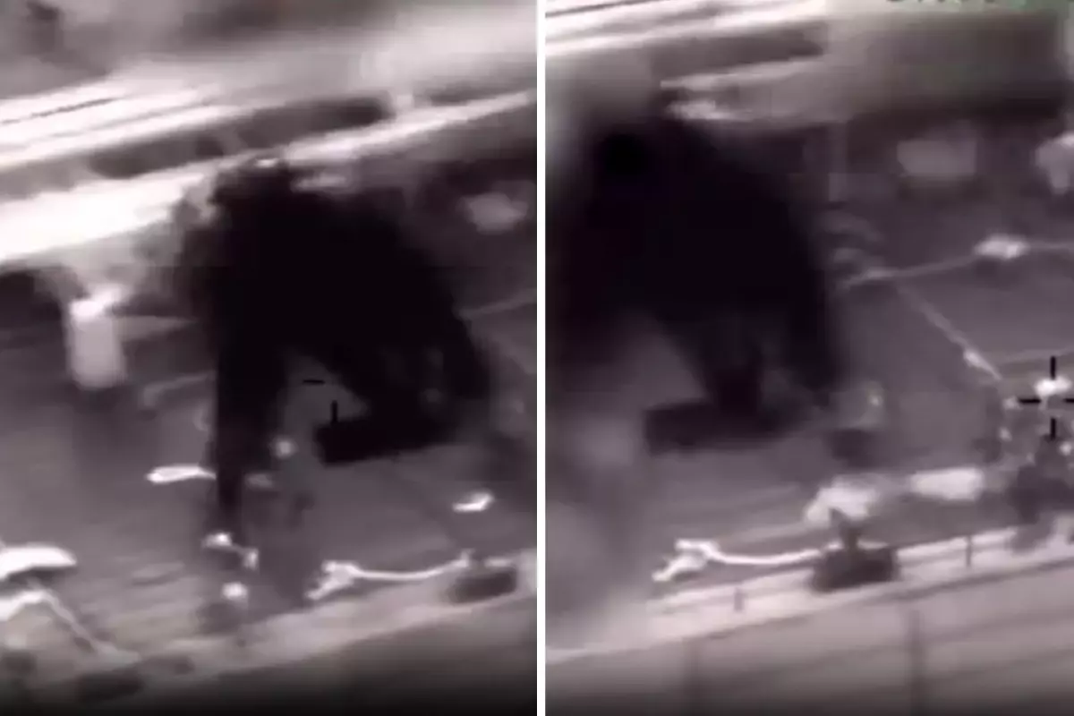 ABD dur durak bilmiyor! Karayip Denizi'nde baskın düzenlediler