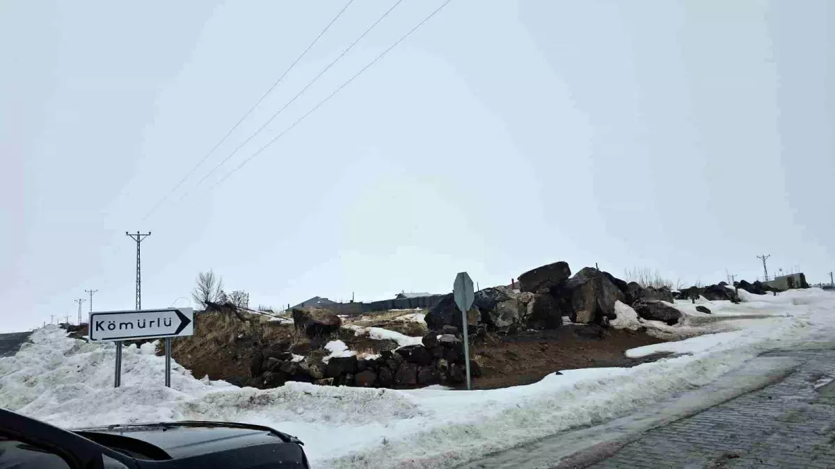 Adilcevaz'da kuduz alarmı: Bir köy karantinaya alındı