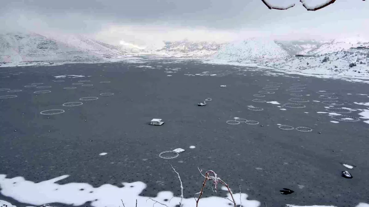 Adıyaman'da Çat Barajı'nın yüzeyi buz tuttu