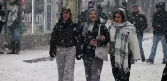 Ağrı'da kar yağışı etkili oluyor