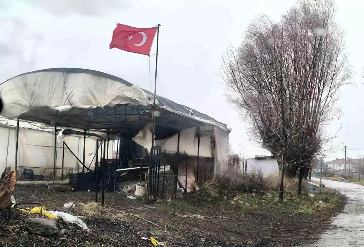 Balkondan düşen saksı az kalsın faciaya neden olacaktı