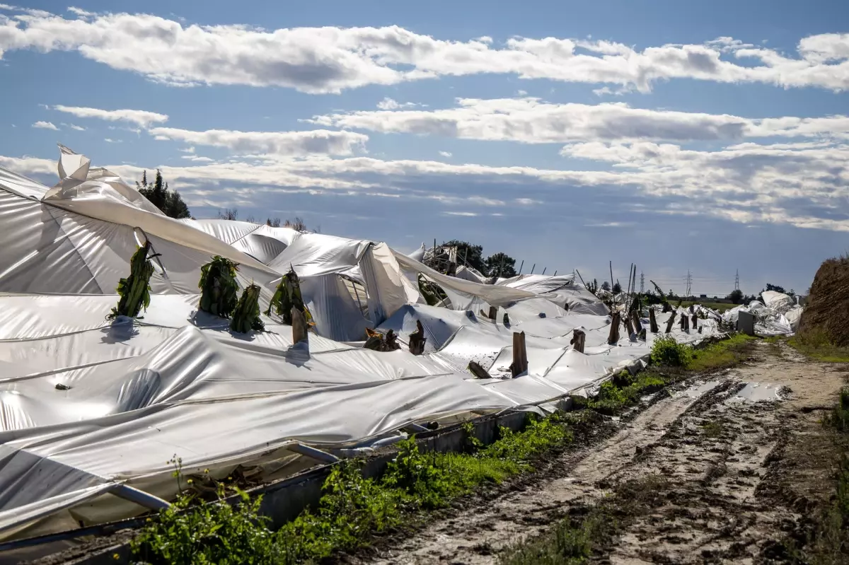 Hortumun neden olduğu zarar, gün ağardığında ortaya çıktı