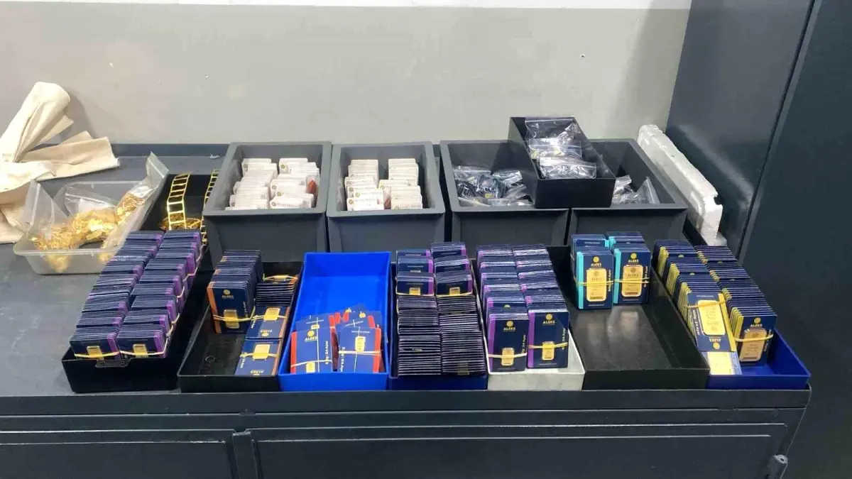 İstanbul'da 100 milyar lira kamu zararına neden olan suç örgütüne yönelik operasyonun detayları ortaya çıktı