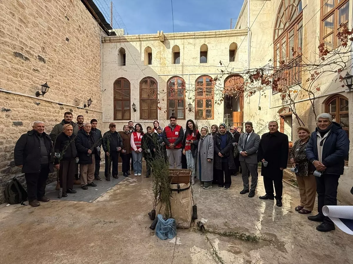 Kilis'te üniversite öğrencilerinden 'Yaşayan Çınarlar' projesi