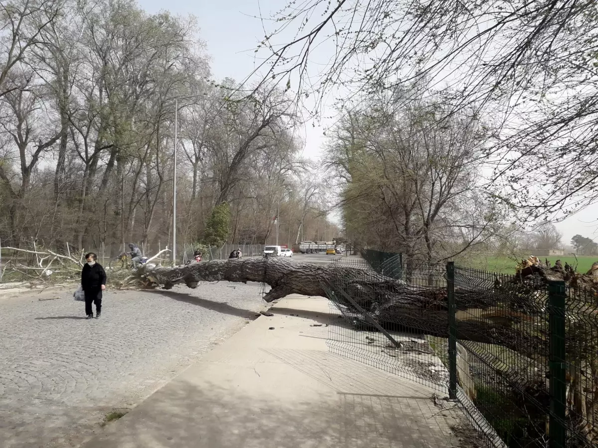 Marmara'da fırtına, Trakya'da şiddetli yağış bekleniyor