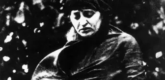 Milli Mücadele'nin öncü aydını ve AA'nın isim annesi: Halide Edip Adıvar